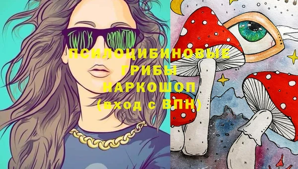 гашик Богородицк